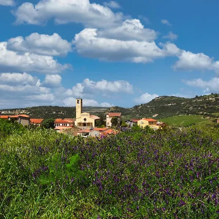 Arcu De Chelu - Alojamento de Acomodação e Pequeno-almoço 3*
