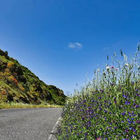 לינה וארוחת בוקר Arcu De Chelu - 3*